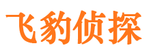 松江商务调查